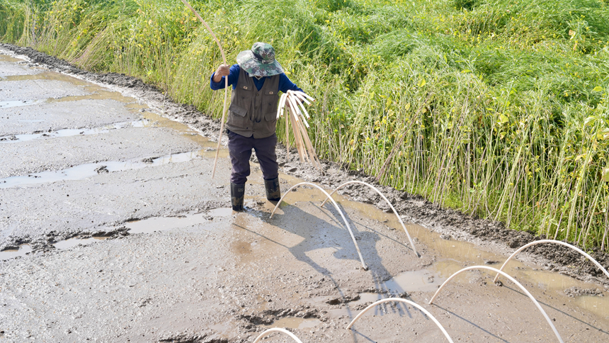春耕正當(dāng)時(shí)。