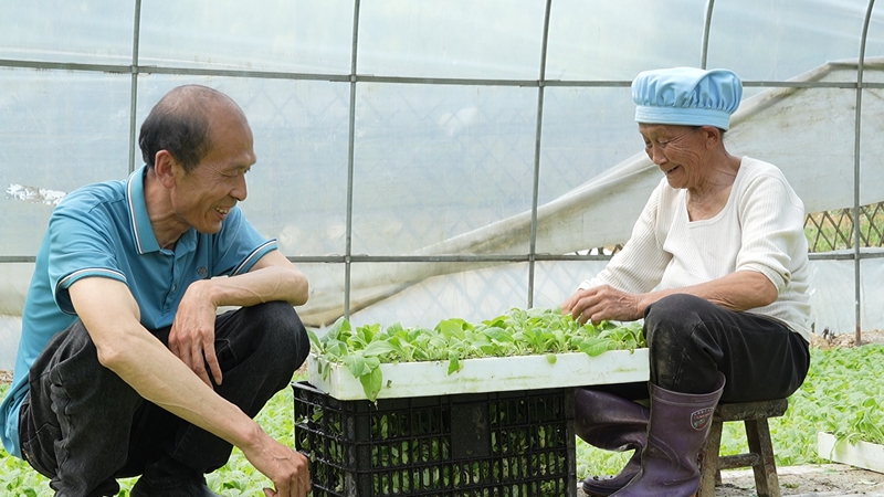 技術員與務工人員交流(蘇暢莉 攝).jpg