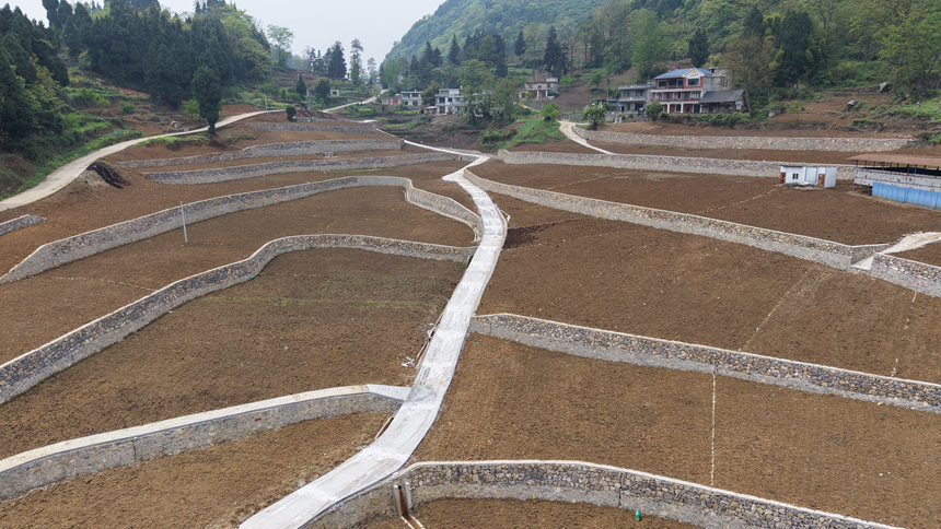 龍井鎮福泉社區土地整治地塊目前的規范。