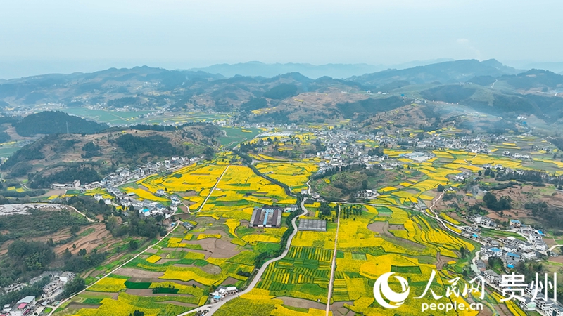 田園官倉。人民網(wǎng)記者 涂敏攝.jpg