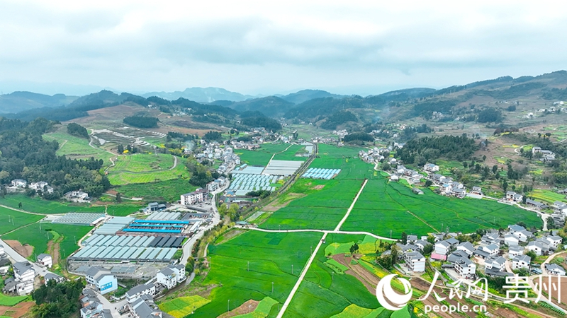 田園官倉。人民網(wǎng)記者 涂敏攝.jpg