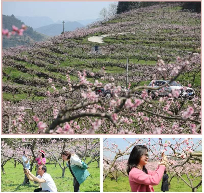 官倉美麗環(huán)境吸引游客打卡。桐梓縣融媒體中心圖.jpg